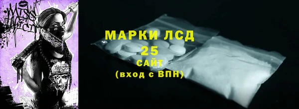 ECSTASY Каменногорск