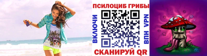 Псилоцибиновые грибы Psilocybine cubensis  Купить закладки  Кола 